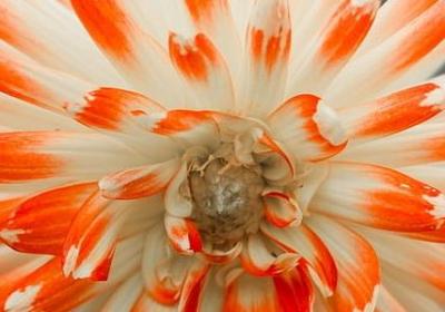 退休人员祝福语(推荐40句)