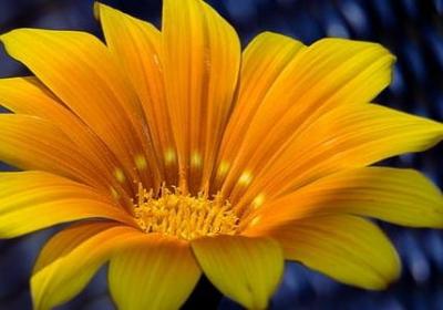 送给新人的祝福语(热门70句)