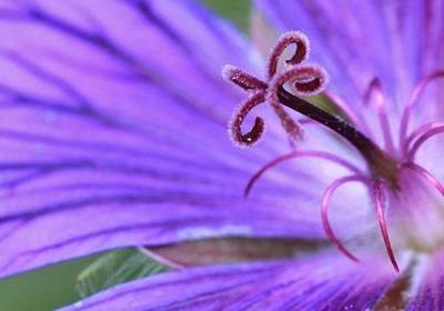 送给孩子生日的祝福语(合集50句)