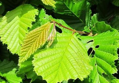 送给朋友的祝福语简短(共80句)