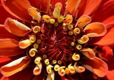 送给老人的祝福语简短(热门60句)