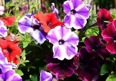 送给女同学的祝福语(共70句)