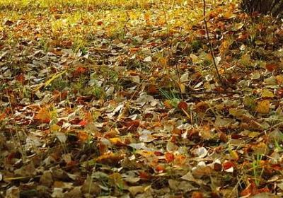 送孩子生日祝福语(汇总70句) 送孩子生日祝福语(汇总70句)