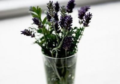 送儿子生日祝福语(优选40句) 送儿子生日祝福语(优选40句)