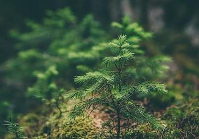 送给情侣的祝福语(合集50句) 送给情侣的祝福语(合集50句)