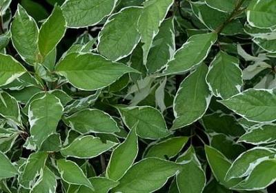 退群祝福语(必备50句) 退群祝福语(必备50句)