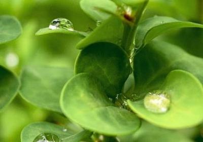 送给数学老师的祝福语(必备7句) 送给数学老师的祝福语(必备7句)