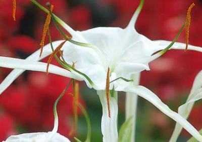 送女儿祝福语(精选40句) 送女儿祝福语(精选40句)