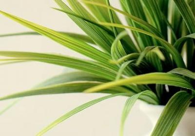 进新房的祝福语大全(通用40句) 进新房的祝福语大全(通用40句)