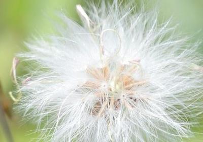 送给老年人的祝福语(50句)