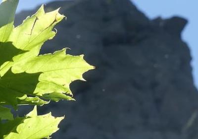 送男友的生日祝福语(优选40句)