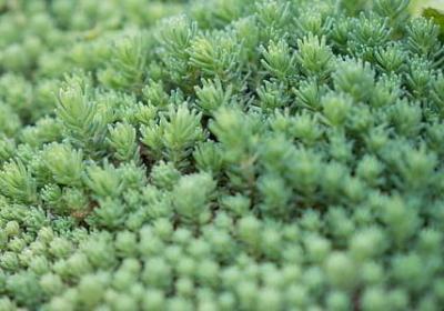 送给女朋友的祝福语(优选70句)