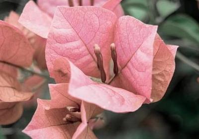 退休老师祝福语(共70句)