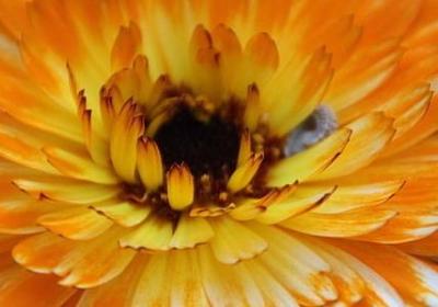 送孩子的生日祝福语(精选50句)