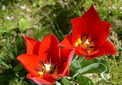 送给老婆生日祝福语(实用54句)