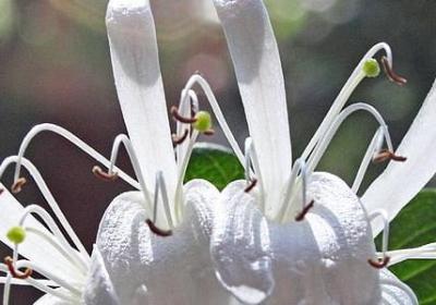 送幼儿园小朋友祝福语(精选40句)