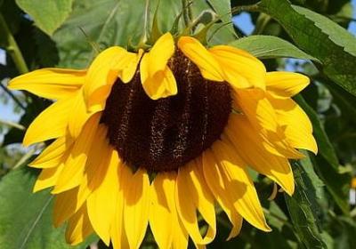 送老公生日蛋糕祝福语(必备40句)