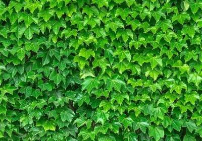 送给小孩的祝福语(共40句)