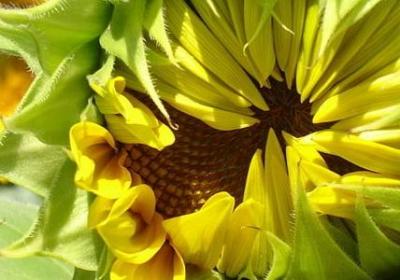 运动员祝福语(热门60句)