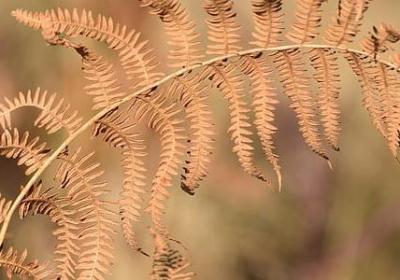 送给朋友的祝福语(汇总50句)