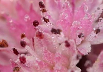 送给领导的生日祝福语(实用40句)