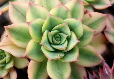 送给小宝贝的祝福语(推荐43句)