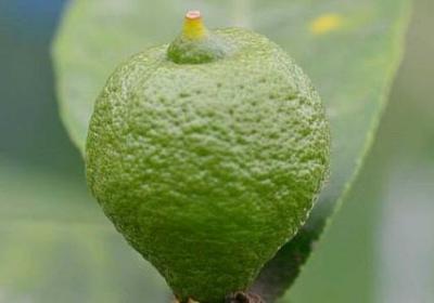 送同事祝福语(共50句) 送同事祝福语(共50句)