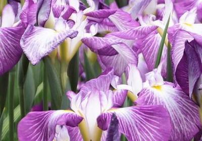 送给老公的生日祝福语(共44句) 送给老公的生日祝福语(共44句)