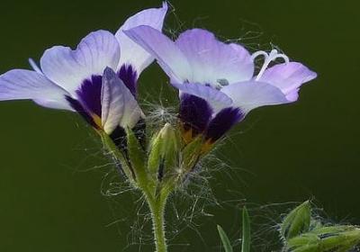 送女友的生日祝福语(50句) 送女友的生日祝福语(50句)