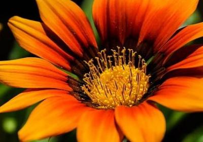 送老婆的生日祝福语(通用40句) 送老婆的生日祝福语(通用40句)