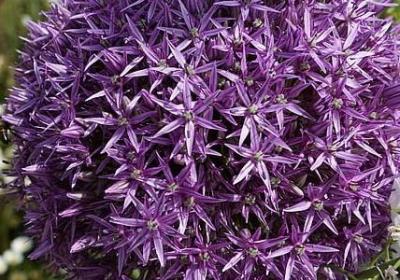 送给男朋友生日祝福语(50句) 送给男朋友生日祝福语(50句)