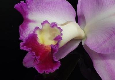 迟到的生日祝福语简短(40句) 迟到的生日祝福语简短(40句)