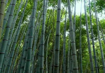 送男朋友的祝福语(优选40句) 送男朋友的祝福语(优选40句)