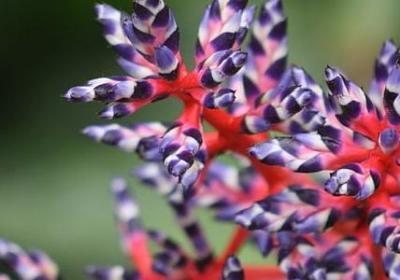 送给男朋友的生日祝福语(通用51句) 送给男朋友的生日祝福语(通用51句)