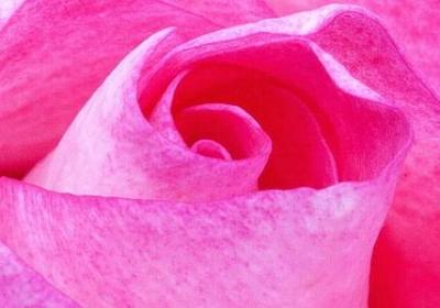 送老公的祝福语简短的(热门80句) 送老公的祝福语简短的(热门80句)