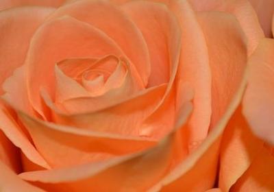 送笔筒的祝福语(实用40句)