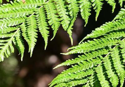 送朋友远行的祝福语(精选40句)