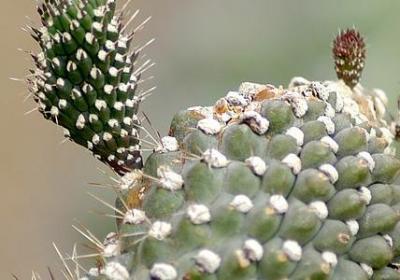 送给女儿的结婚祝福语(精选50句)