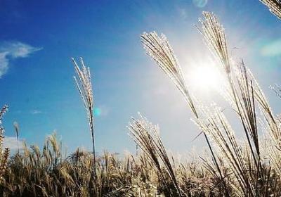 送给闺蜜生日的祝福语(热门15句)