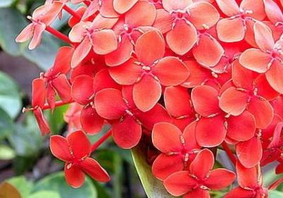 迟到的生日快乐祝福语(实用40句)