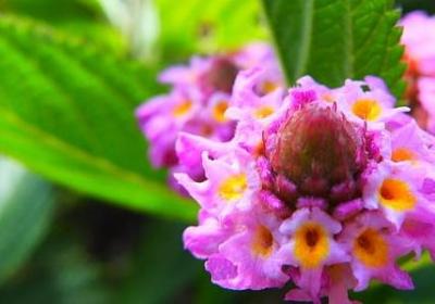 进修祝福语(优选70句)