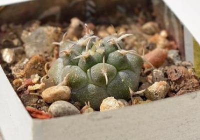 送给公司的祝福语(优选40句)