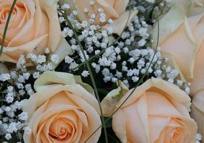 送女生的祝福语(必备50句)