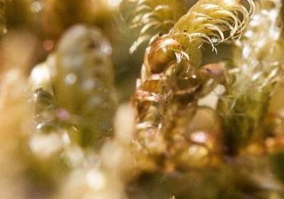 送礼物祝福语(优选50句)