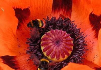 送给老师的毕业祝福语(实用50句)