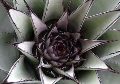 送女朋友礼物祝福语(合集40句)