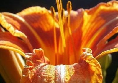 送给初三学生的祝福语(通用50句)