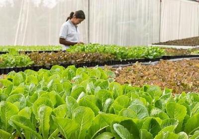 送书的祝福语(共40句)