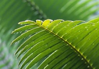 迟到的生日祝福语(实用20句)