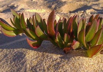 送给朋友的结婚祝福语(必备60句)